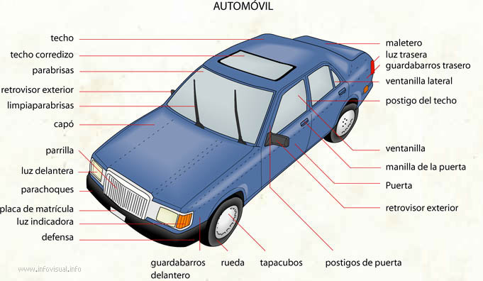 Automóvil (Diccionario visual)