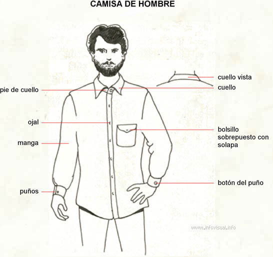 A tientas extraer Propiedad Camisa de hombre (Diccionario visual) - Recursos ProFuturo