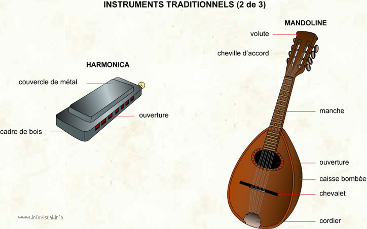 Instruments à percussion 2 (Dictionnaire Visuel) - ProFuturo Resources