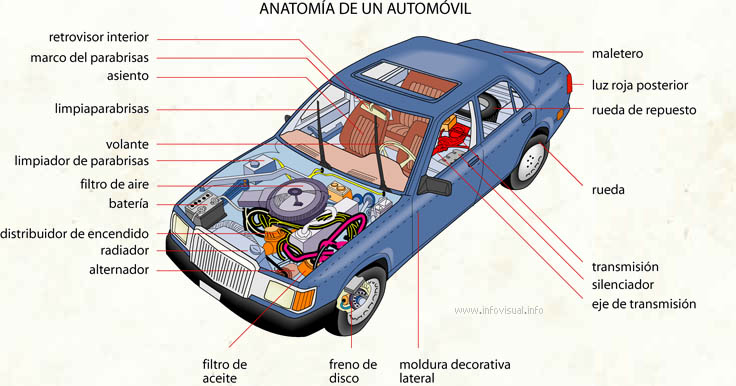 Anatomía de un automóvil (Diccionario visual)