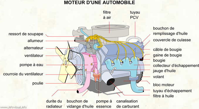 Moteur d'une automobile (Dictionnaire Visuel)