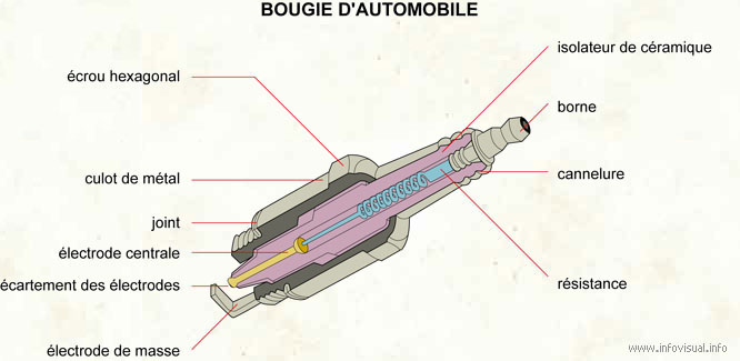 Bougie d'automobile (Dictionnaire Visuel)