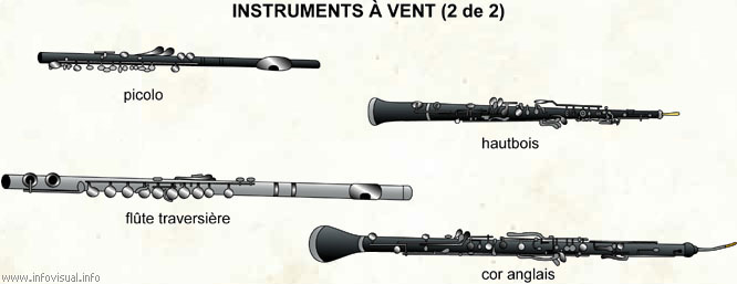 Instruments à vent (2 de 2) (Dictionnaire Visuel)