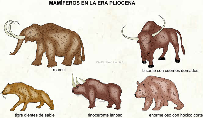 Pliocena (Diccionario visual)