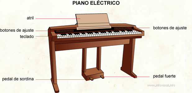 Piano eléctrico (Diccionario visual)