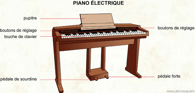 Piano électrique (Dictionnaire Visuel)