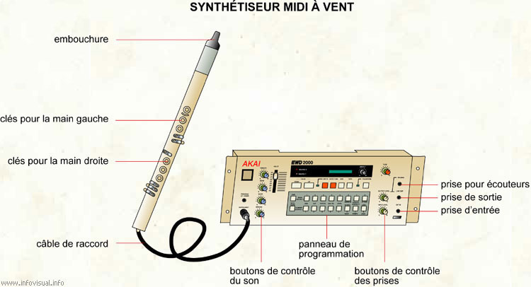 Synthétiseur à vent midi (Dictionnaire Visuel)