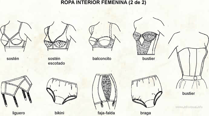 Ropa interior femenina 2 (Diccionario visual) - ProFuturo Resources