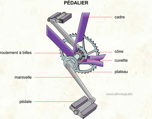 Pédalier (Dictionnaire Visuel)