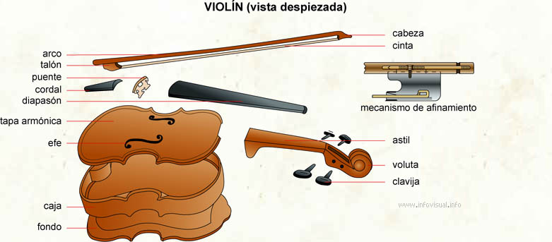 Violín (Diccionario visual)