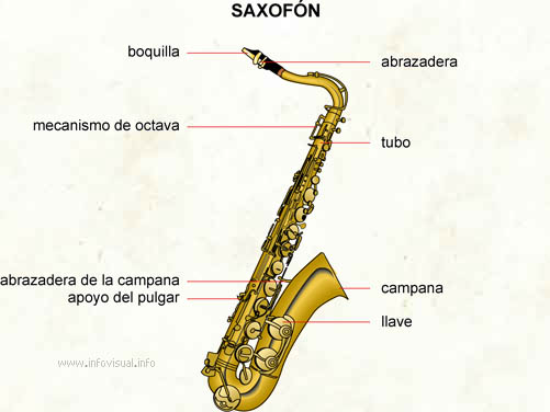 Saxofón (Diccionario visual)