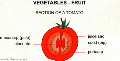 Vegetables - fruit  (Visual Dictionary)
