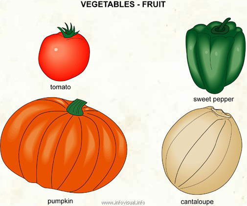 Vegetables  (Visual Dictionary)