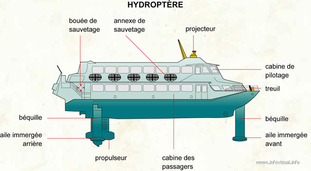 Hydroptère (Dictionnaire Visuel)