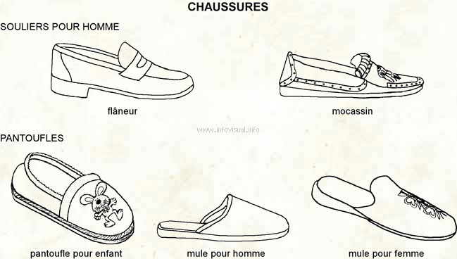 Accessoires pour chaussures 2 (Dictionnaire Visuel) - Ressources ProFuturo